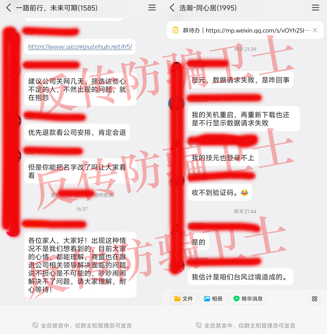 原文图片